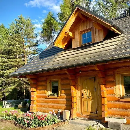 Casa vacanze Dom Z Drzew Istebna