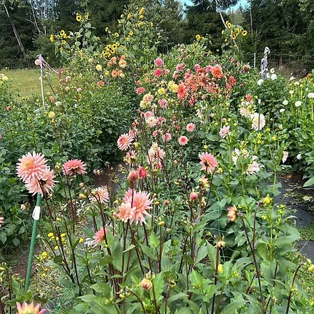 Casa vacanze Dom Z Drzew *