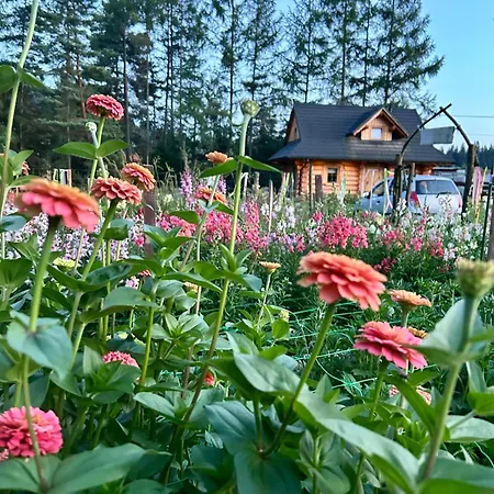 Dom Z Drzew * Istebna