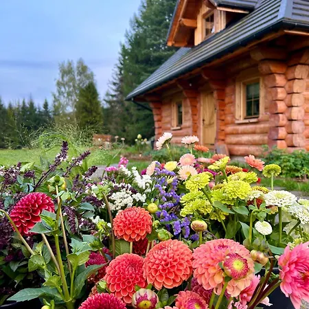 Dom Z Drzew Casa vacanze