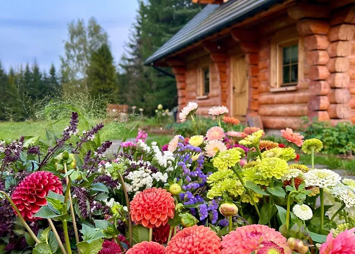 Dom Z Drzew Casa vacanze